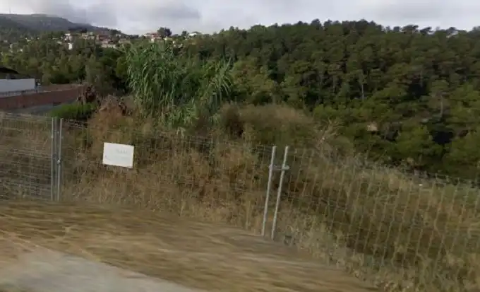 Terreny rústic en venda a C/ Bosc de Samso, imagen 6