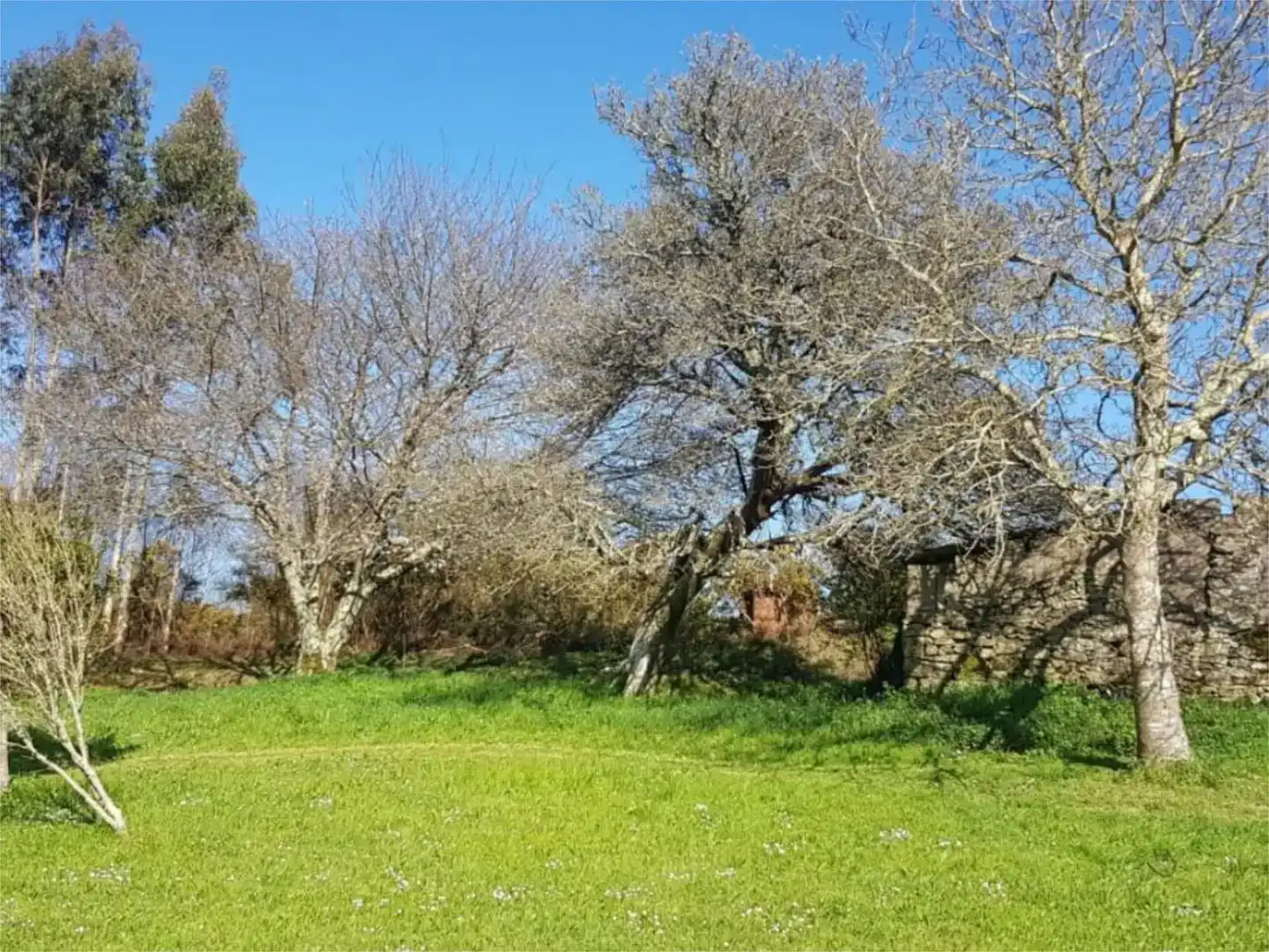 Finca rústica en venta en Monfero con Jardín privado