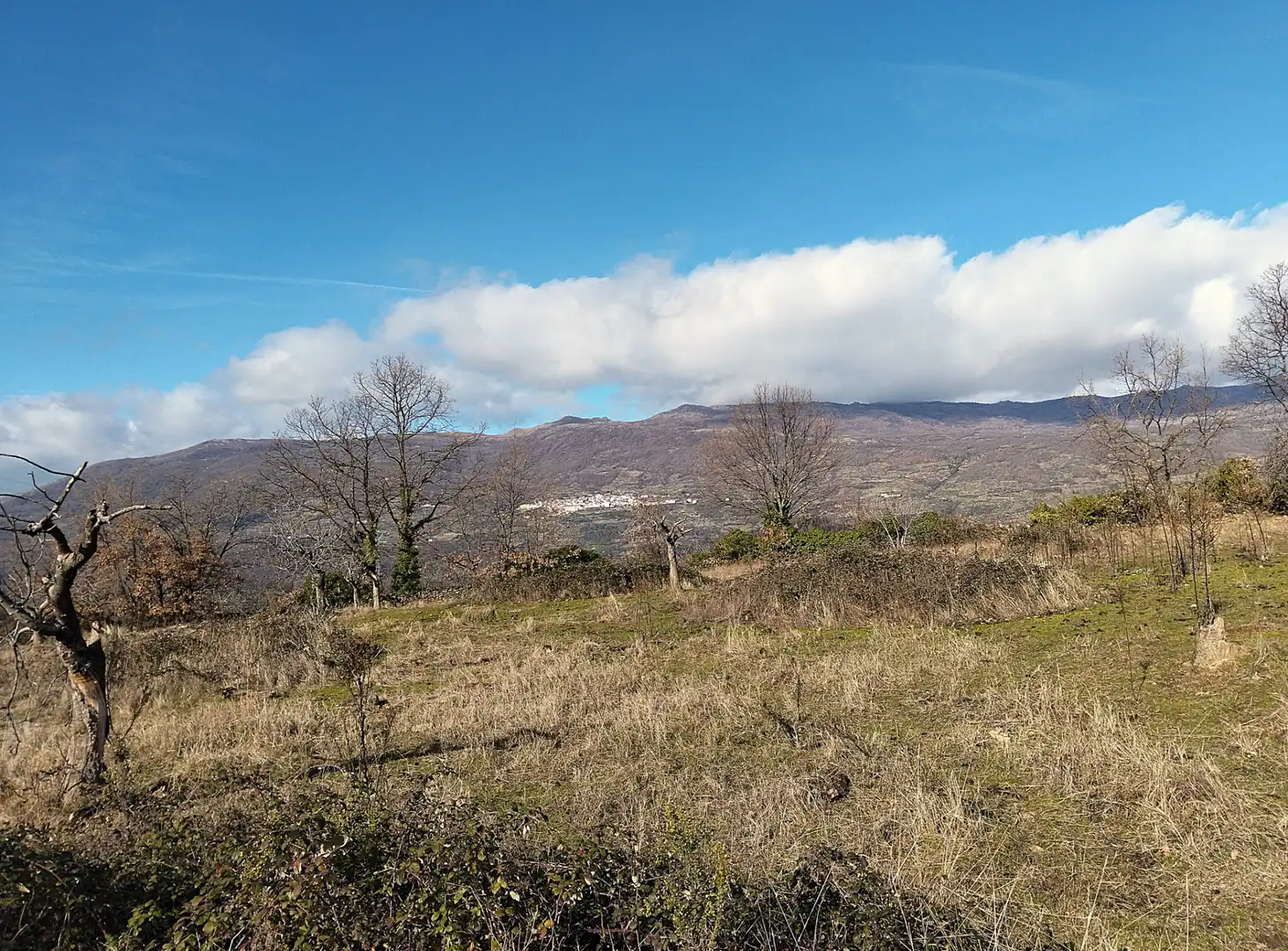 Terreno en venta en Casas del Castañar