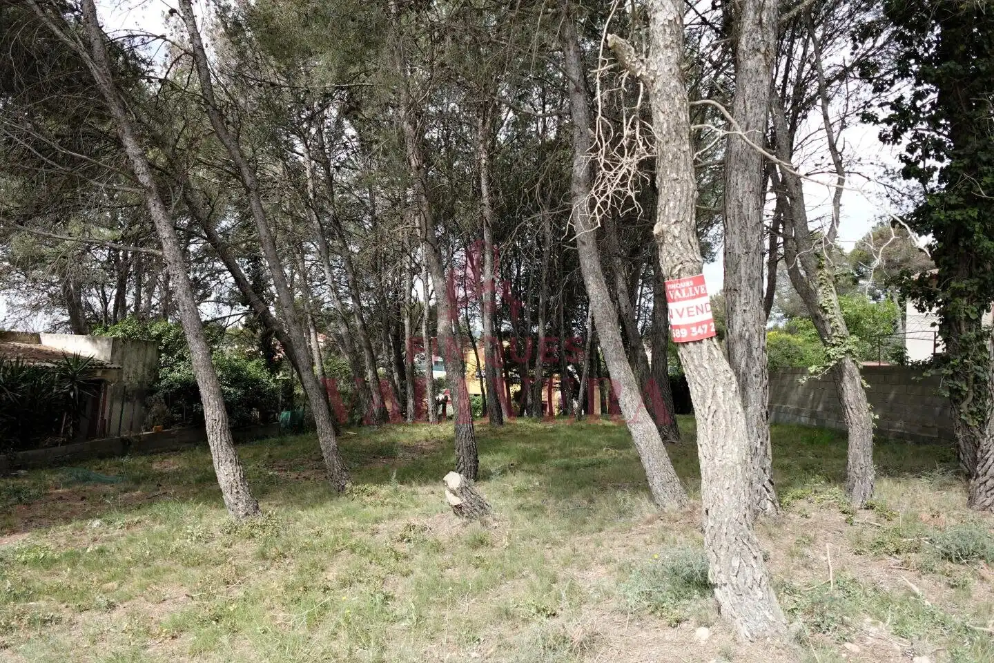 Terreny residencial en venda a Cabra del Camp, imagen 2