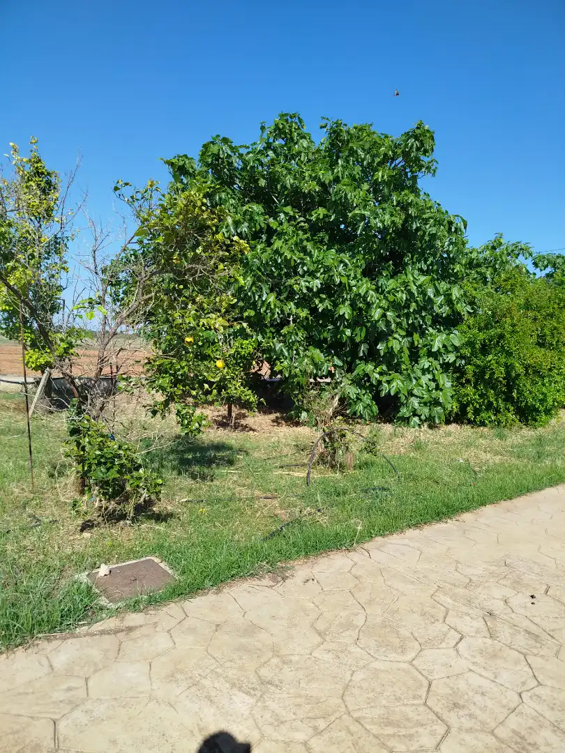 Casa o xalet en venda en Benicarló amb Aire condicionat, Calefacció i Jardí privat