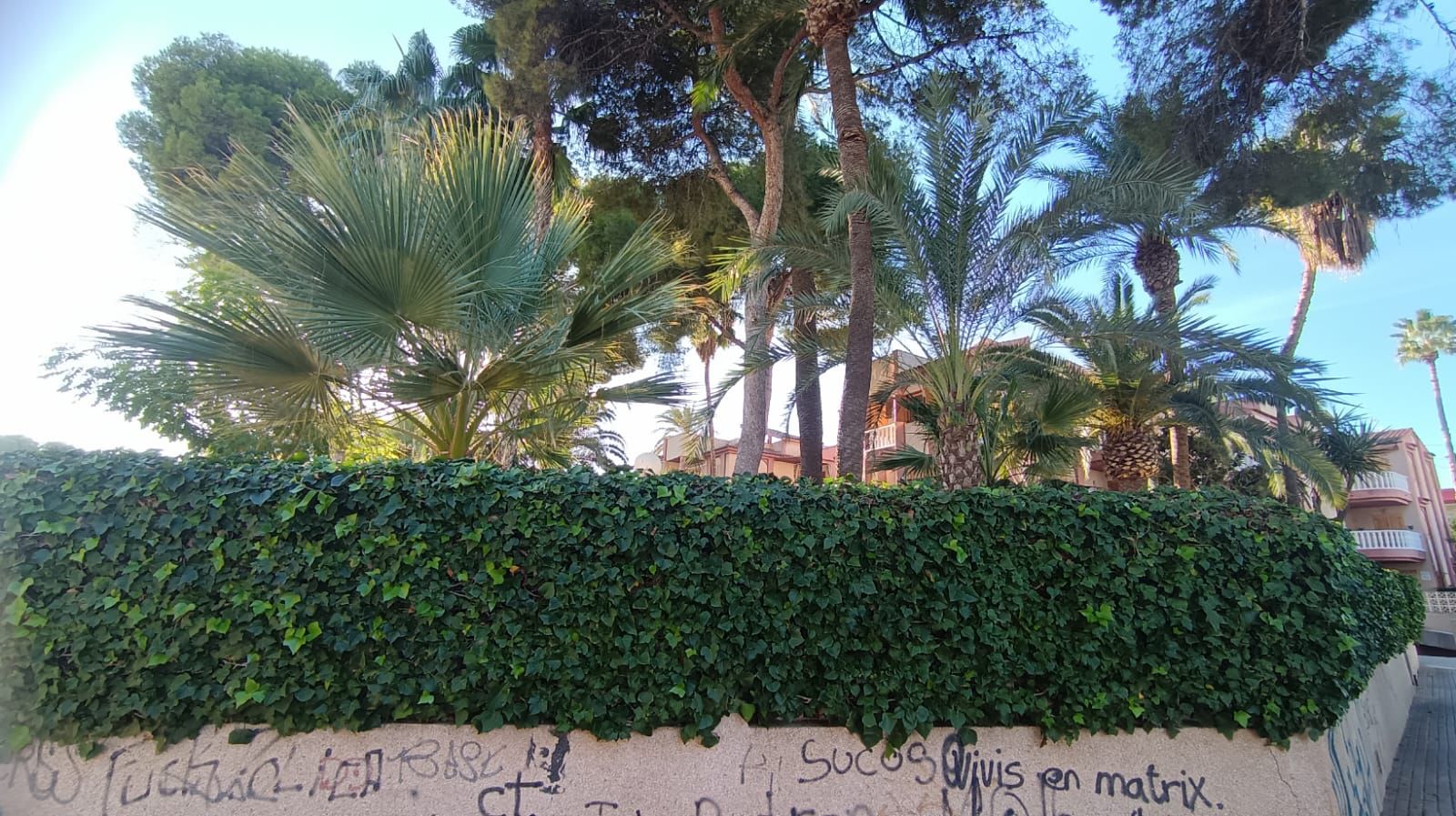 Garden of Apartment for sale in San Javier  with Storage room, Furnished and Balcony