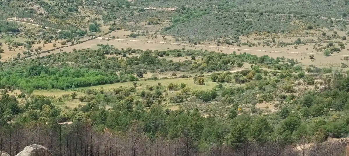 Rural land for sale in P.º de la Dehesa del Valle