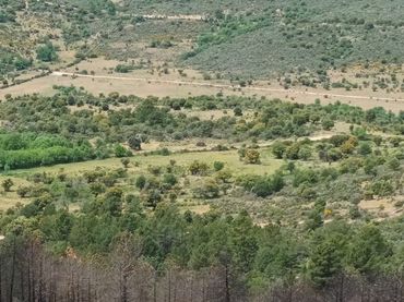 Rural land for sale in P.º de la Dehesa del Valle