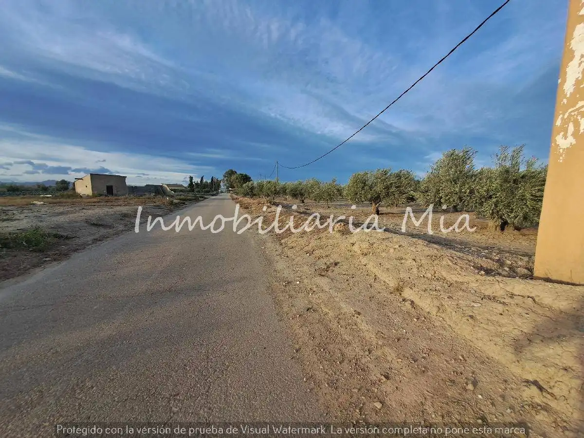 Houses for sale in Almendricos
