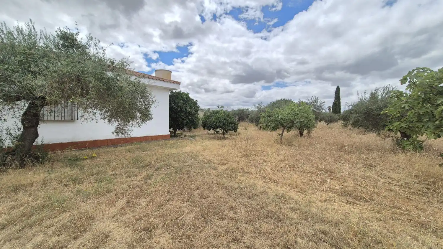 Xalet en venda a Las Vaguadas, imagen 14