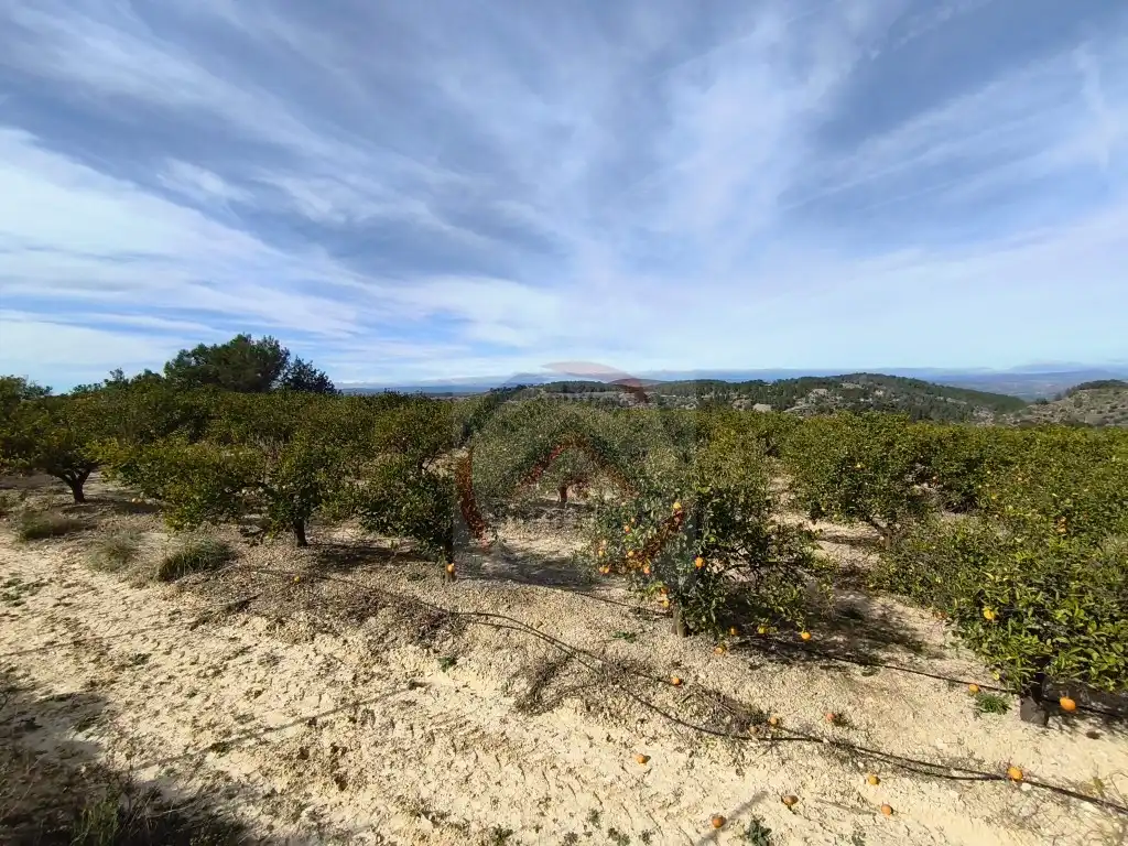 Residential for sale in La Llosa de Ranes