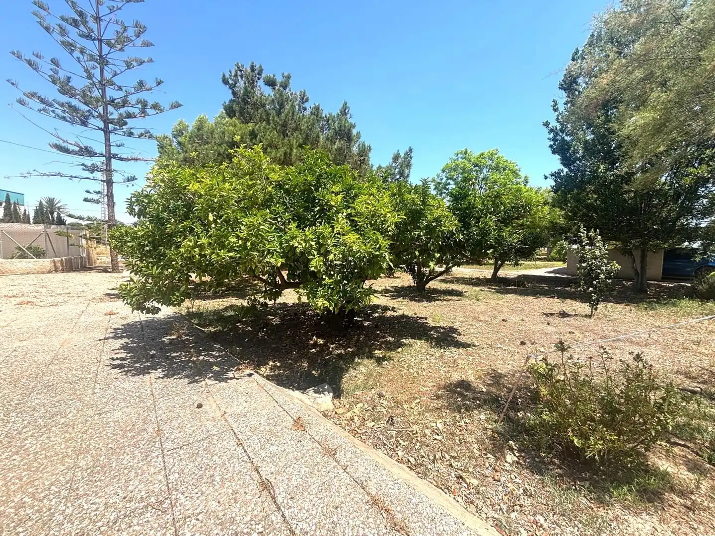Houses for sale in Elche / Elx