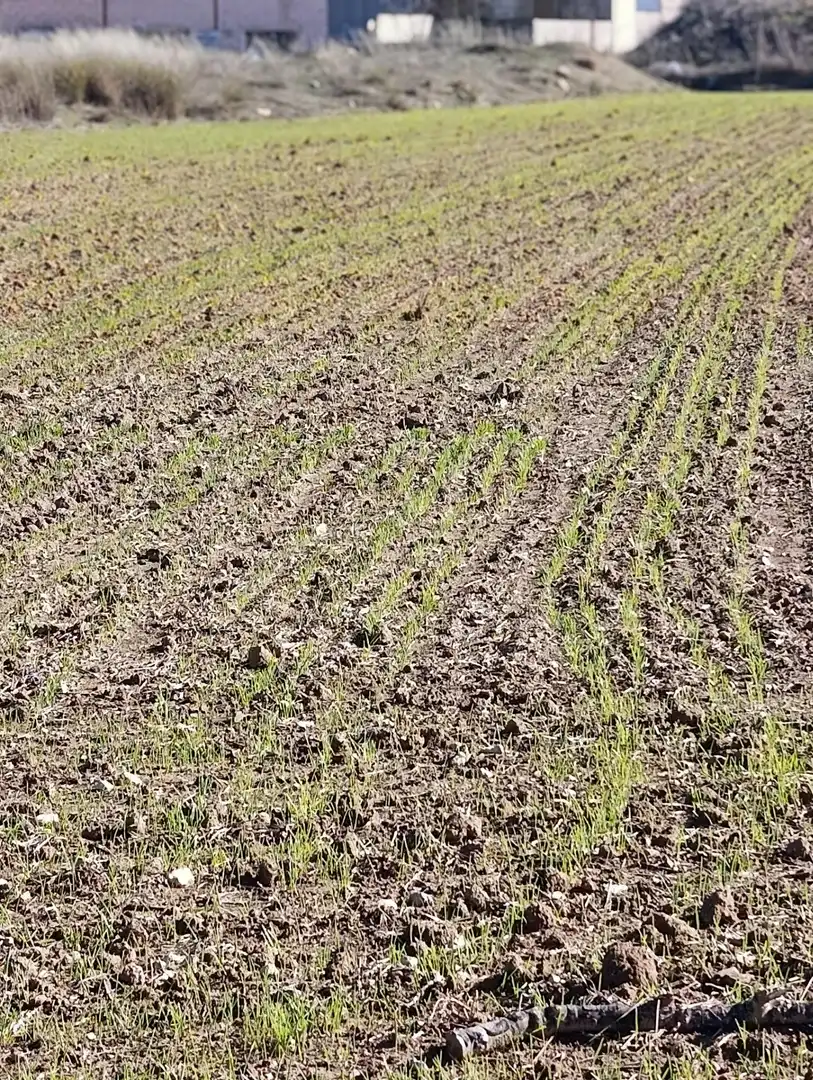 Rustikales Grundstück zum Verkauf in Cehegín, imagen 7