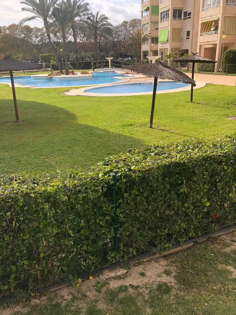 Schwimmbecken von Wohnung zum Verkauf in Alicante / Alacant mit Möbliert, Alarm und Gemeinschaftspool