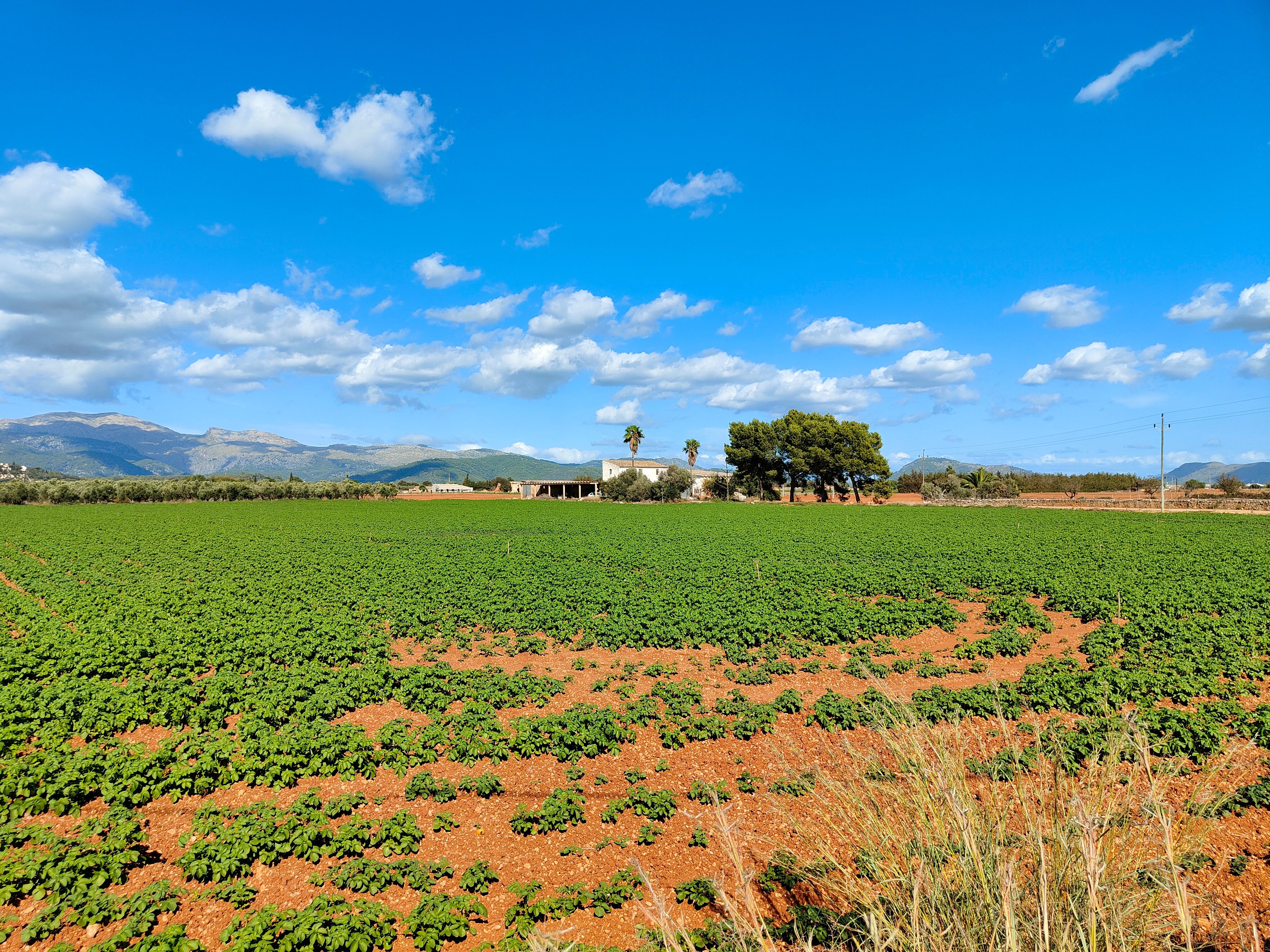 Terreno en venta en Búger