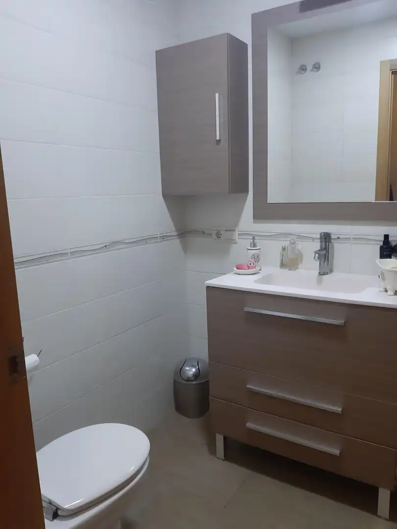 Bathroom of Flat for rent in Algeciras  with Air Conditioner and Furnished