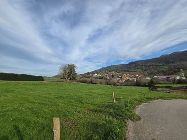 Terrenys i solars en venda a noriega