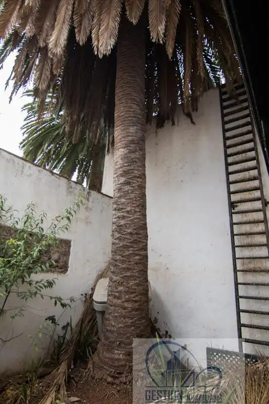 Garden of Houses for sale in San Cristóbal de la Laguna  with Terrace and Storage room