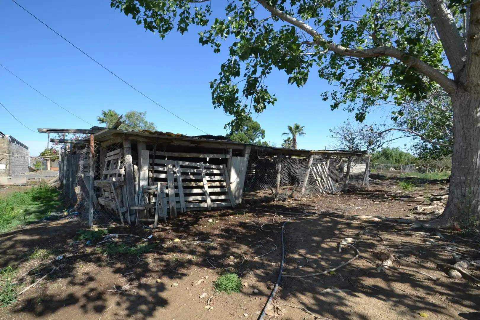 Vista exterior de Finca rústica en venta en Deltebre con Jardín privado y Trastero
