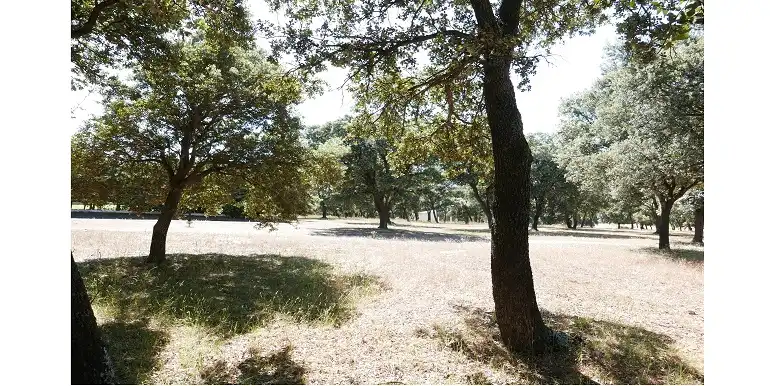 Terreni e lotti in vendita a Marugán, imagen 58
