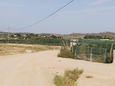 Terreny rústic en venda a Monforte del Cid