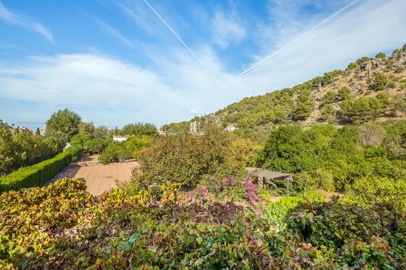 Country homes for sale in Sóller