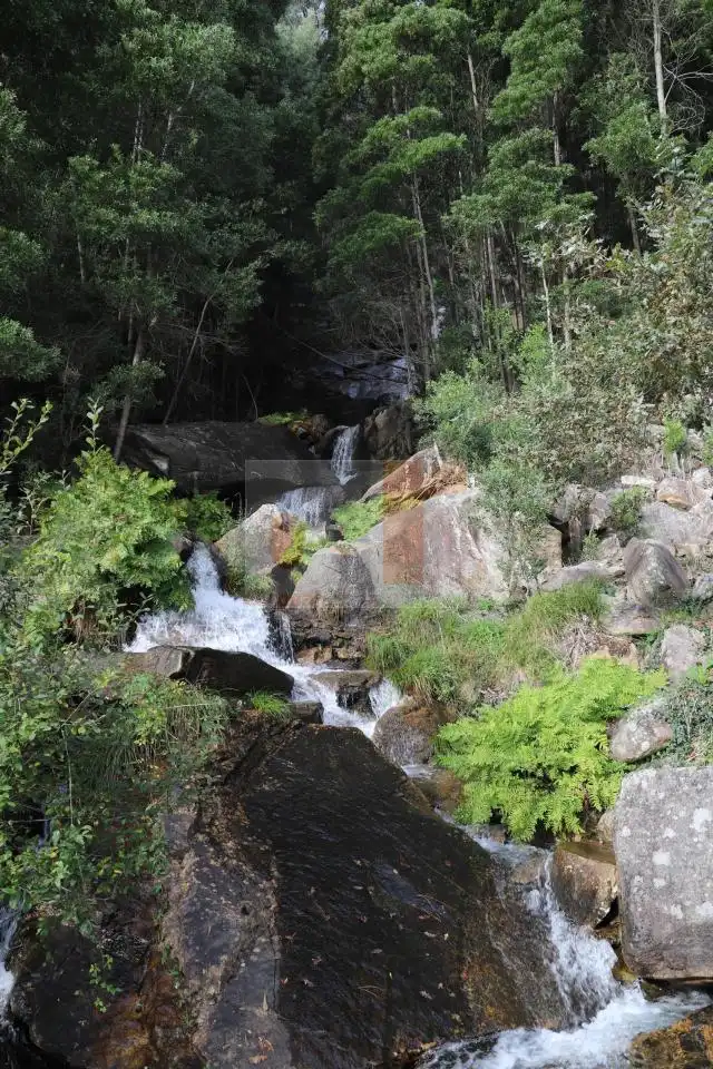 Vista exterior de Casa o chalet en venta en Moaña con Calefacción, Jardín privado y Amueblado