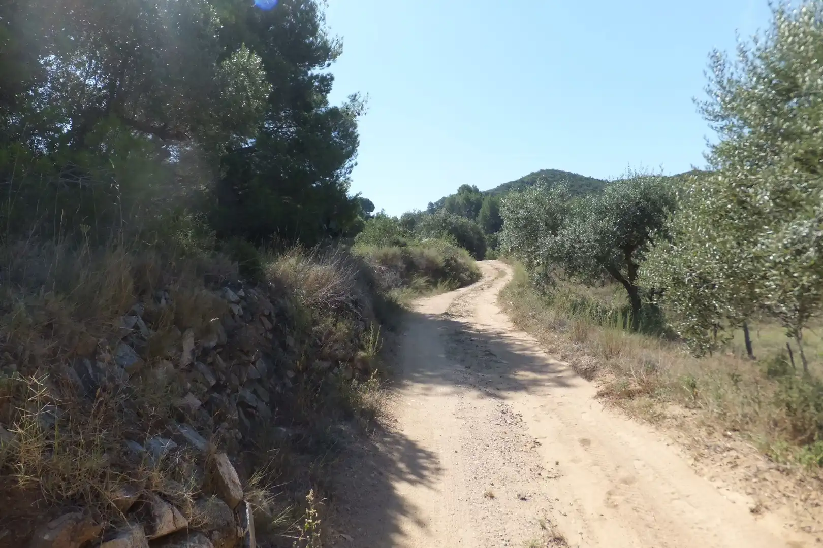 Exterior view of Land for sale in Alforja