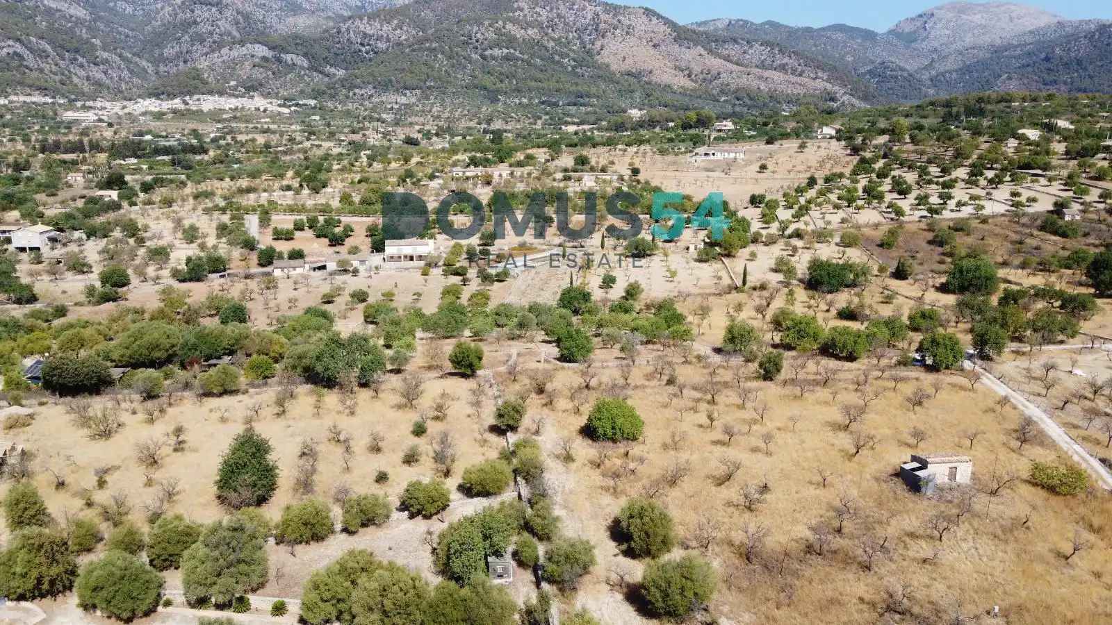 Land for sale in Selva