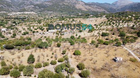Exclusiva finca rústica con proyecto y licencia en Moscari, Selva, immagine 2