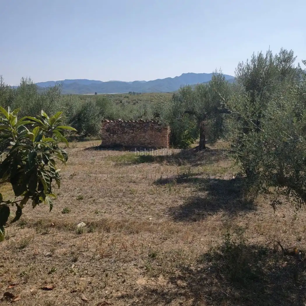 Rural land for sale in Carrer de la Muntanya 1, imagen 2