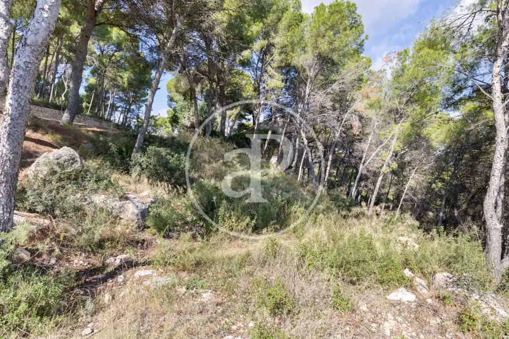 Terreno residenziale in vendita a El Bosque, imagen 25