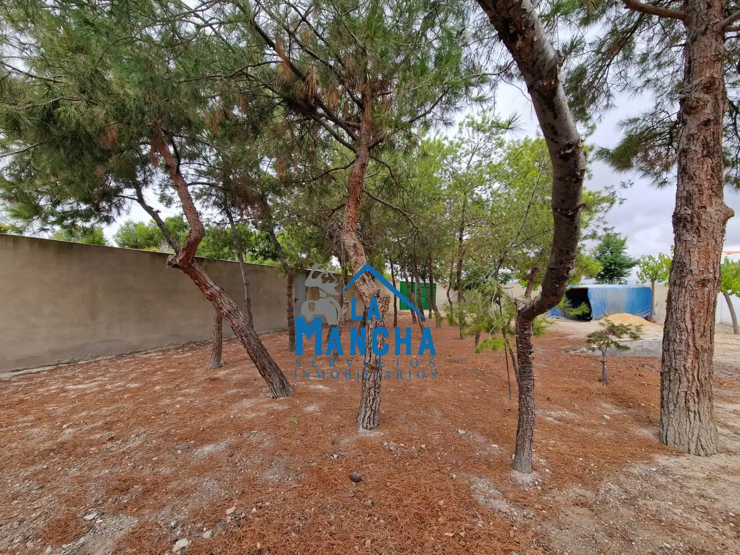 Casa rústica amb piscina en venda a DISEMINADOS, imagen 5