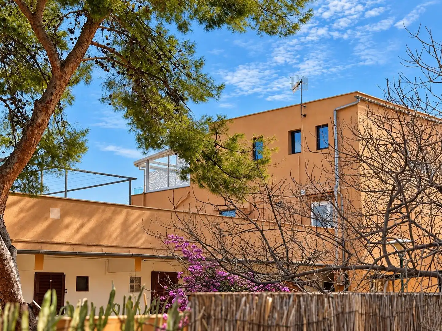 Attique avec piscine à vendre à Costa de la Calma, imagen 24