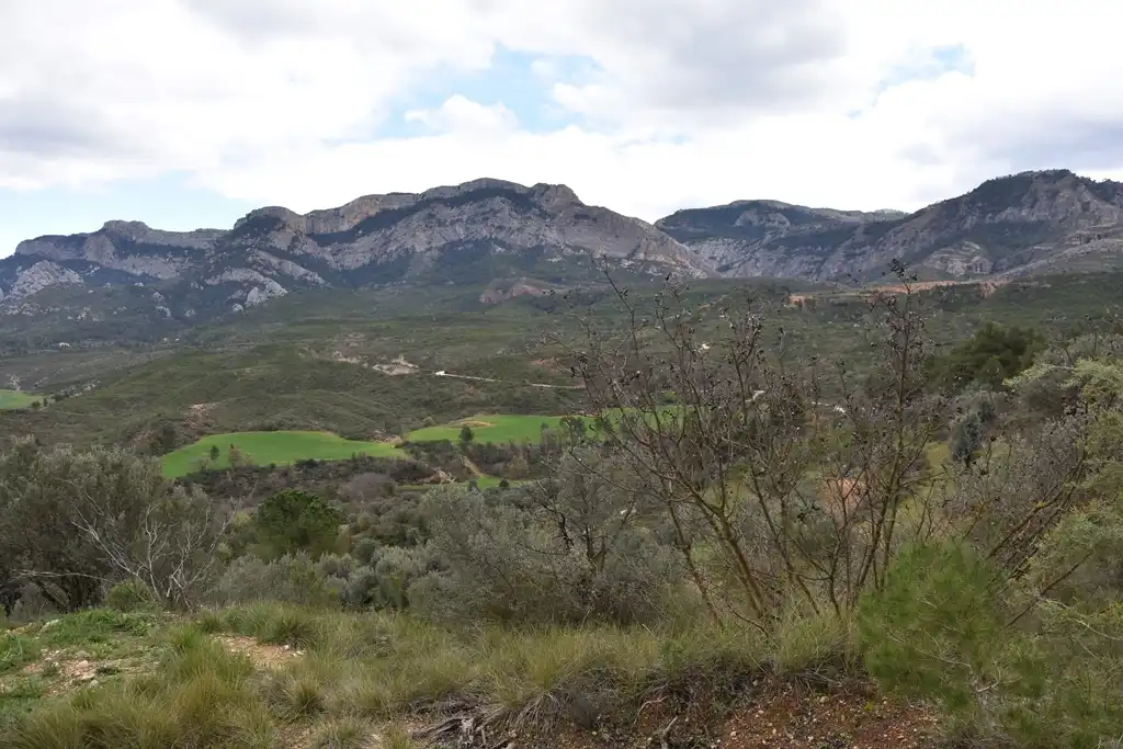 Rural land for sale in Mas de la Riba 1, imagen 9