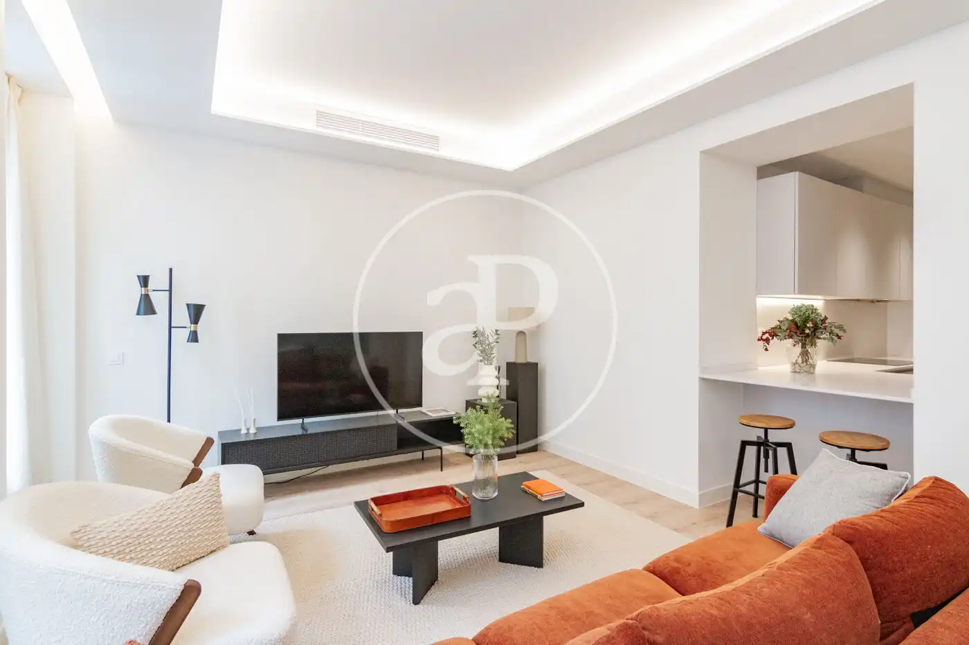 Living room of Flat for rent in Madrid  with Air Conditioner, Heating and Storage room