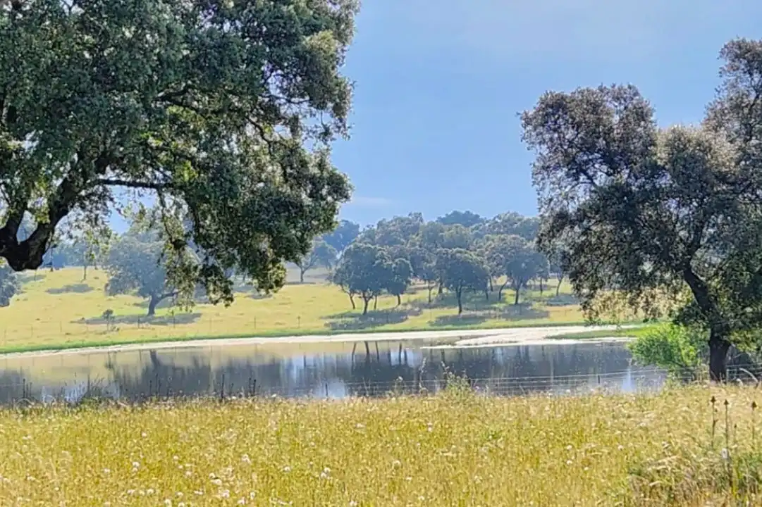 Terreno en venta en Casco Antiguo