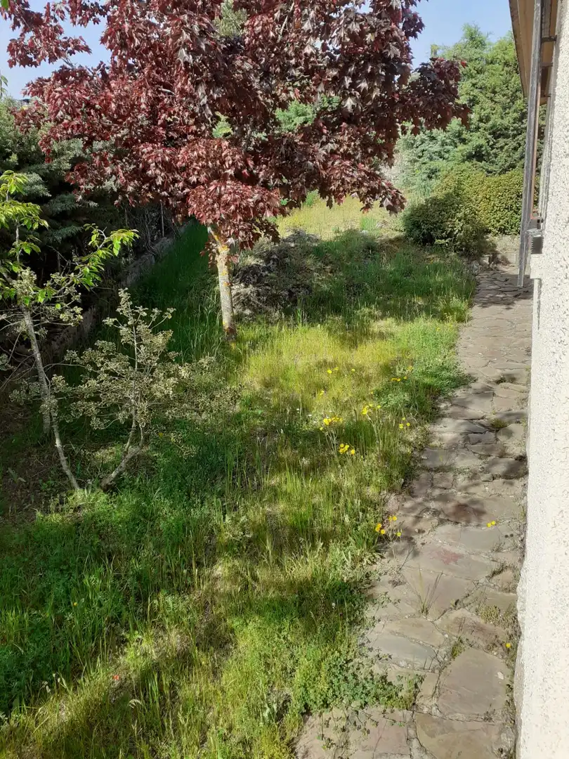 Casa o chalet en venta en Peguerinos