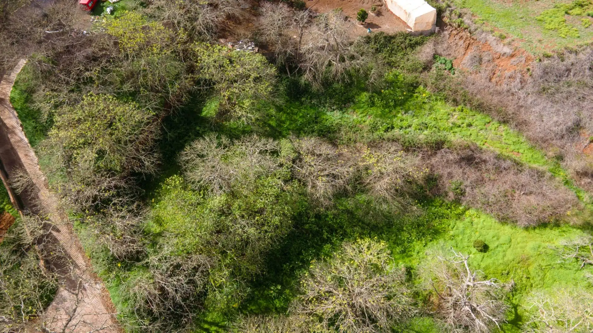 Rustikales Grundstück zum Verkauf in La Esperanza 17, imagen 5