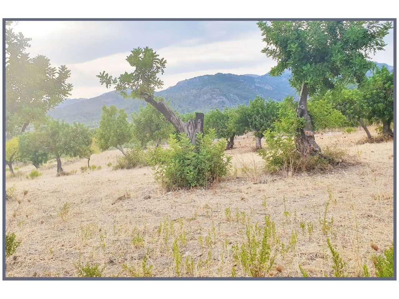 Terrain rustique à vendre à Poligono 16 sn