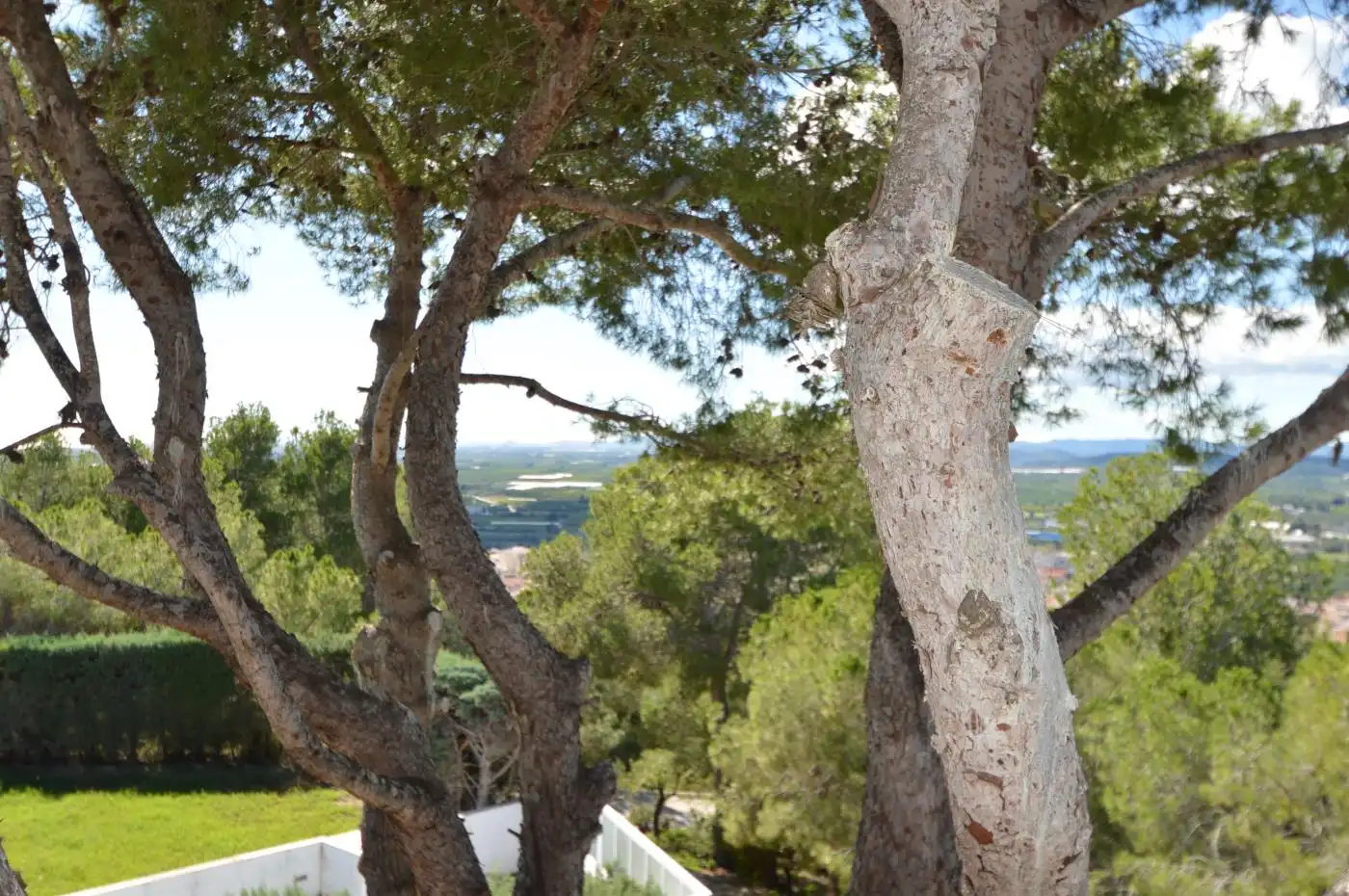 Villa mit Terrasse zum Verkauf in Plaça POL3 SEC2 SUBSEC91, imagen 23