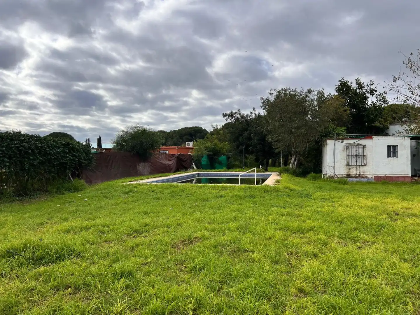 Piscina de Casa o chalet en venta en Los Palacios y Villafranca con Piscina