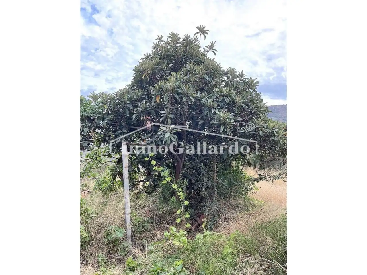 Houses for sale in Comares  with Private garden