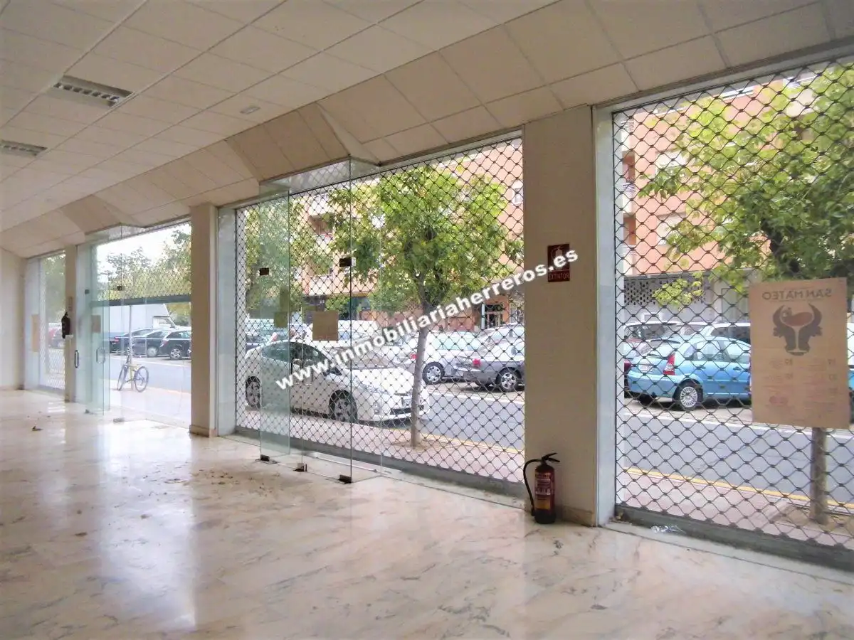 Business premises for sale in PINTOR ROSALES