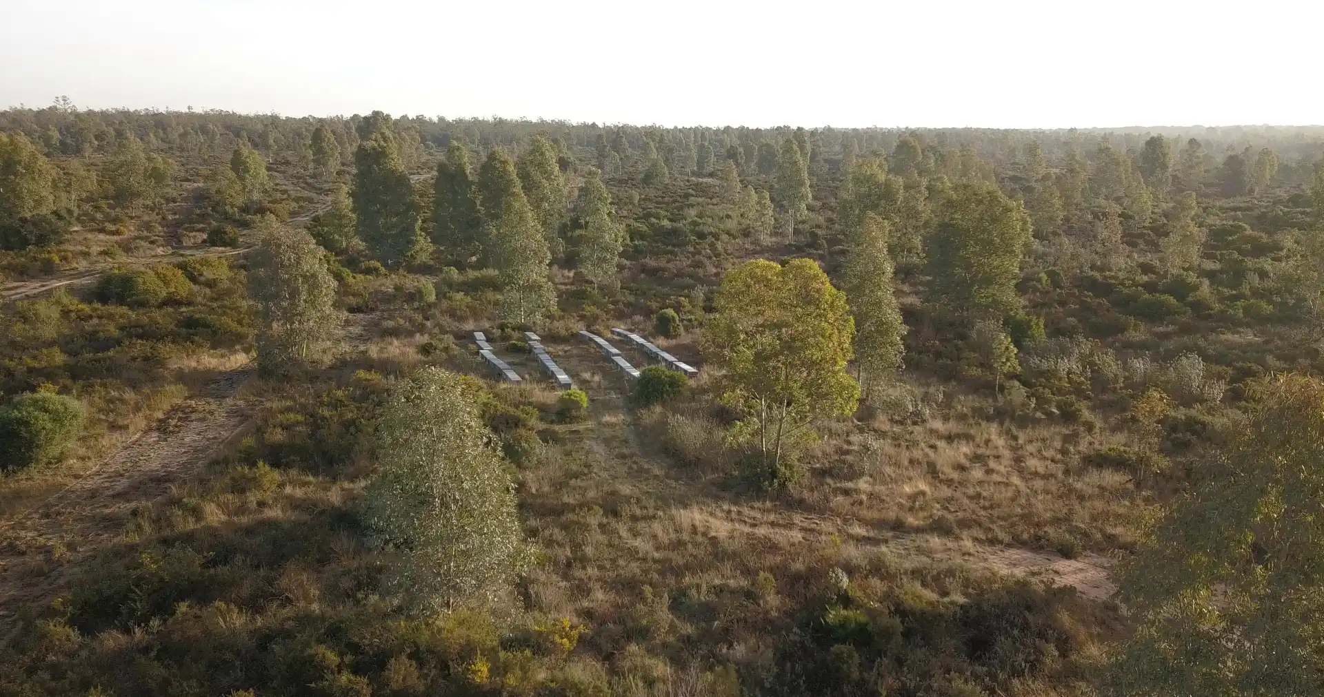 Finca rústica en venda en Almonte