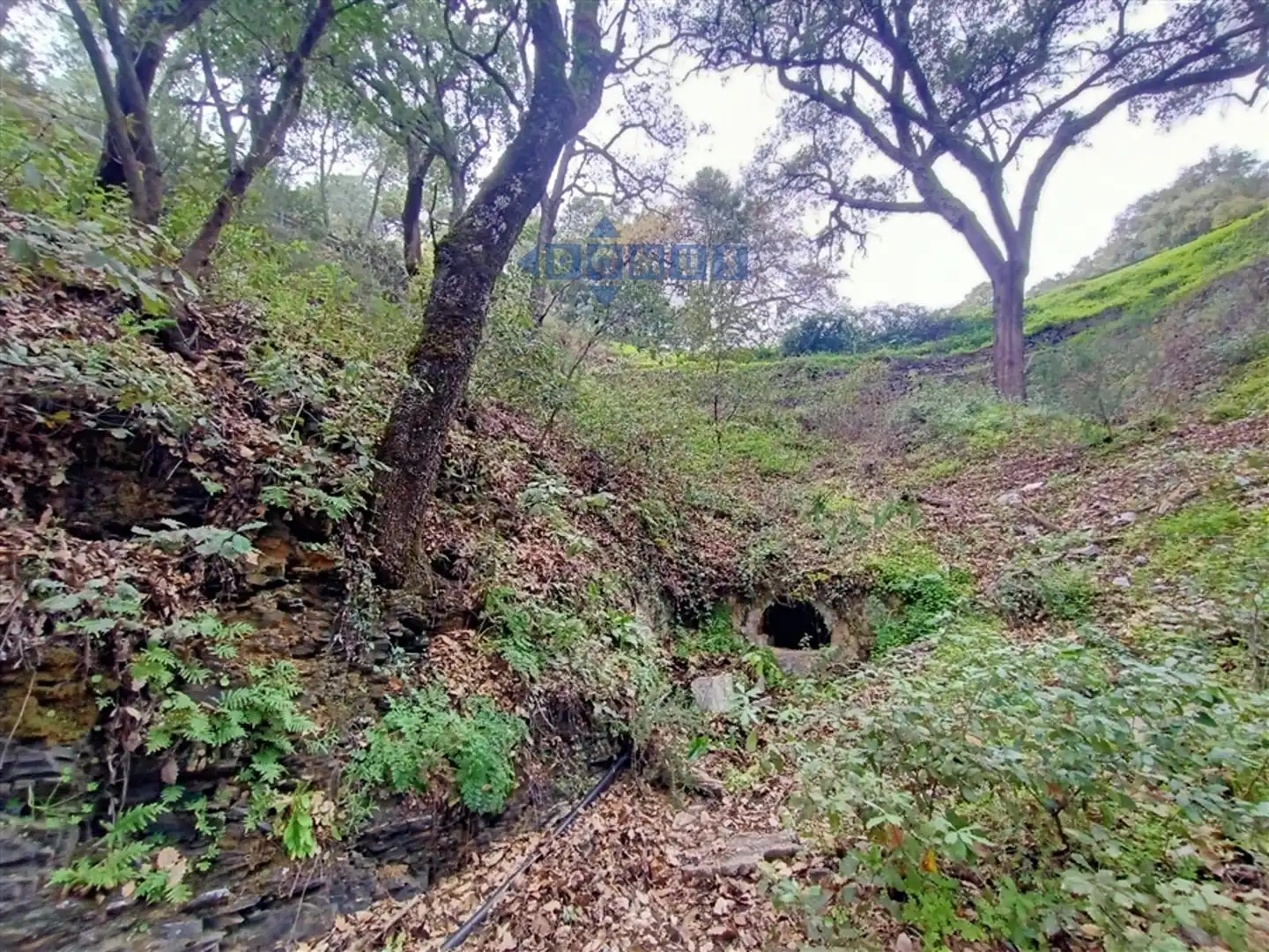 Casa rústica en venda a Algatocín, imagen 3