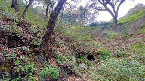 Foto 3 de Finca rústica en venta en Algatocín, Málaga
