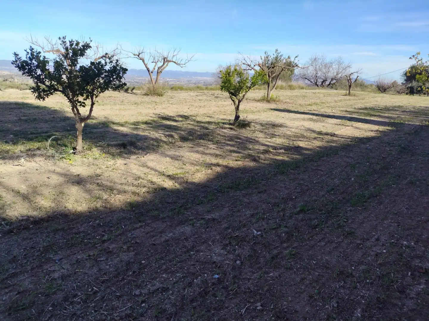 Terreno residenziale in vendita a Agullent, imagen 19