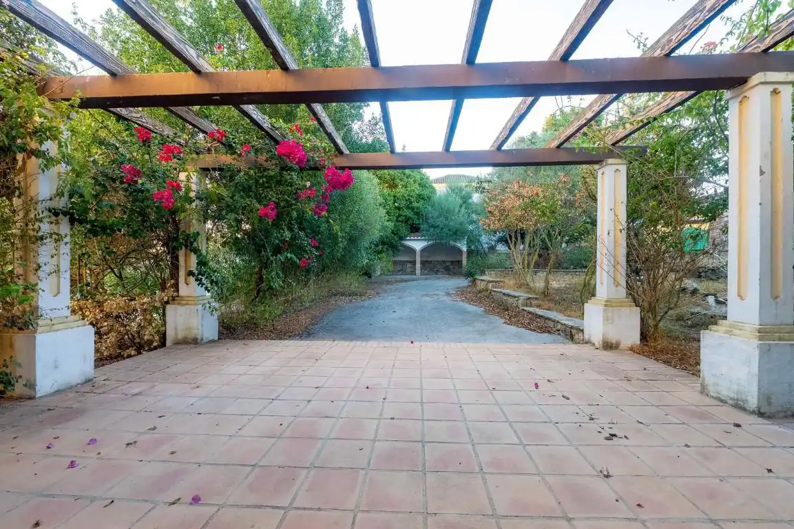 Garden of Houses for sale in Benalup-Casas Viejas  with Heating, Private garden and Terrace