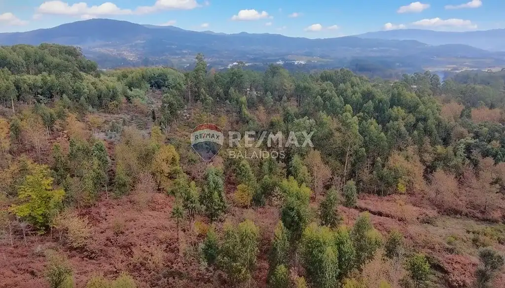 Terreny residencial en venda a Salvaterra de Miño, imagen 13