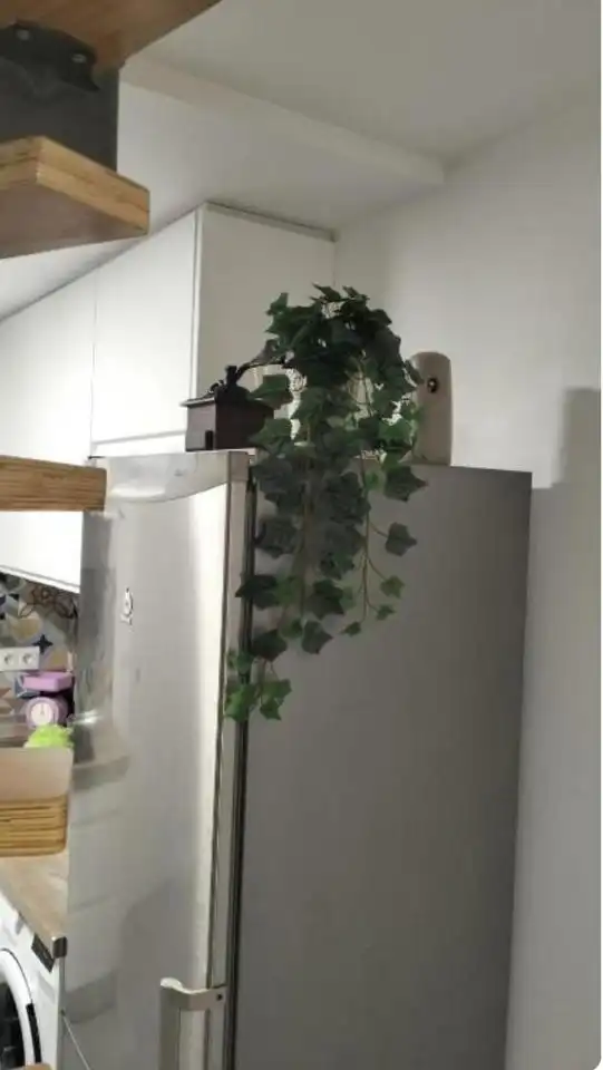 Terrassa de Planta baixa de lloguer en Málaga