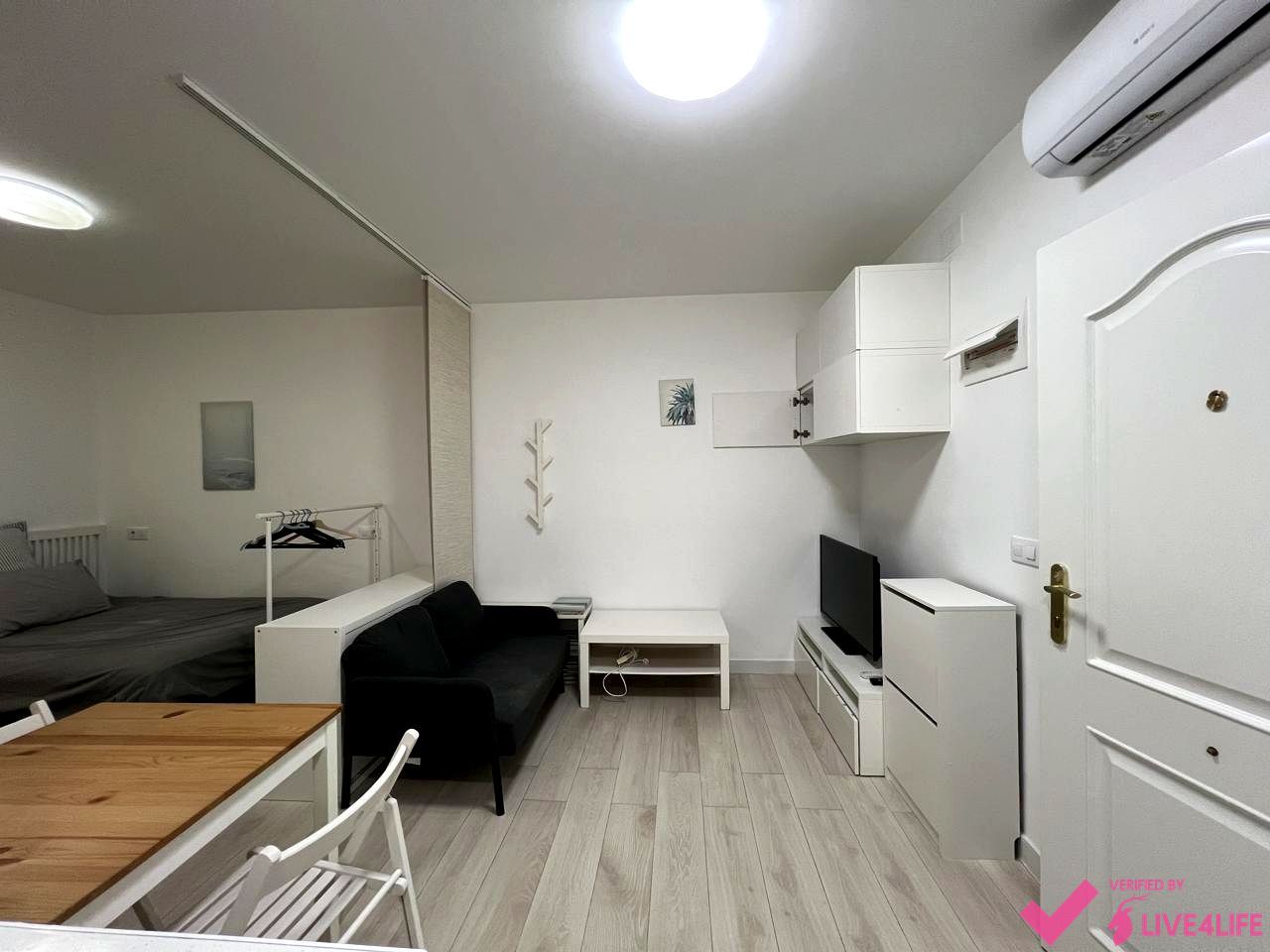 Sala d'estar de Estudi de lloguer en  Madrid Capital amb Aire condicionat, Calefacció i Parquet