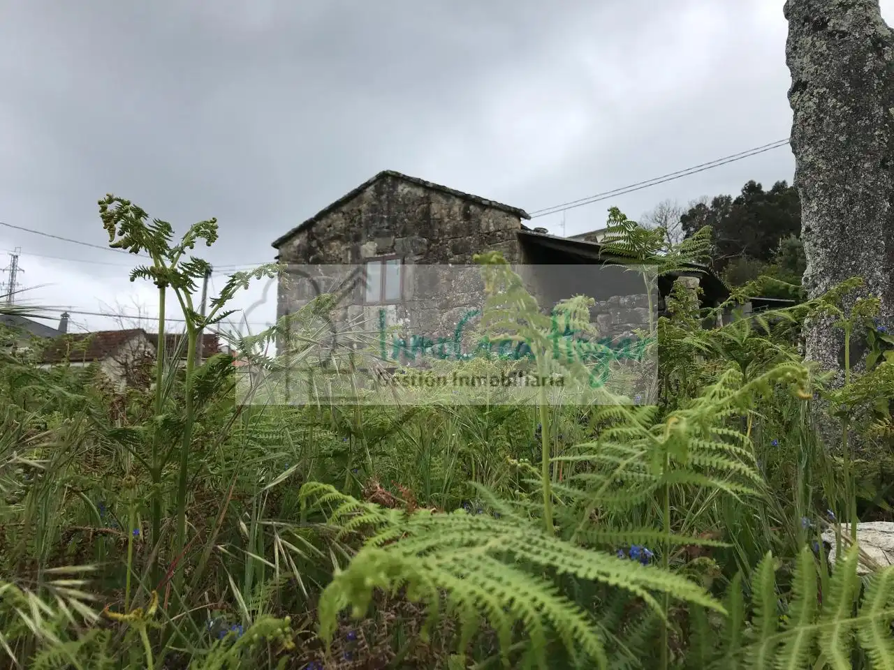 Casa amb jardí en venda a Mondariz