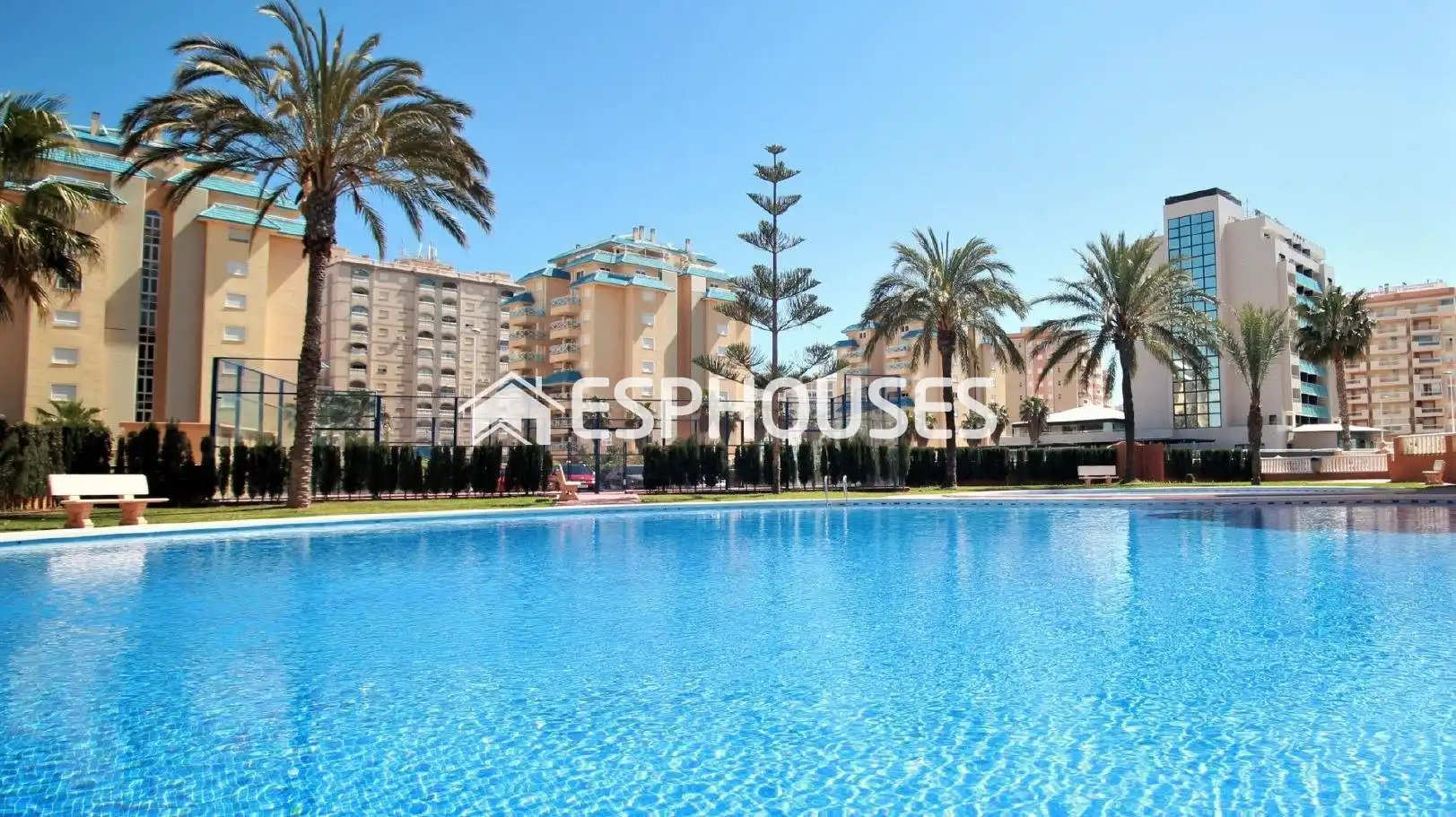 Piscina de Casa o chalet en venta en La Manga del Mar Menor con Terraza, Balcón y Piscina comunitaria